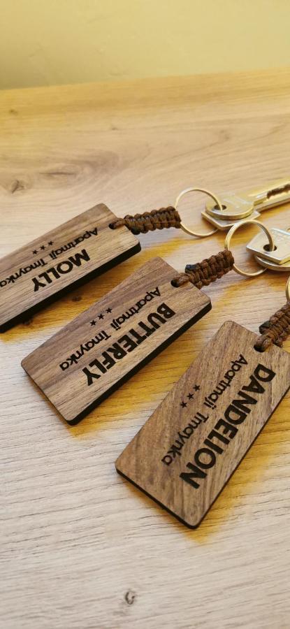 Apartmaji Tmaynka トールミン エクステリア 写真